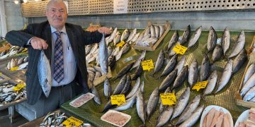 Balıkçıları Palamut Kurtardı