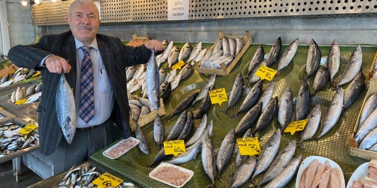 Balıkçıları Palamut Kurtardı