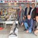 Balıkçı Kenan: Halkımız bol ve ucuz olan balığı tercih etsin