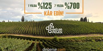 İda Bağları Projesi, Kazdağları’nın Eşsiz Bağcılık Kültürünü Yeniden Canlandırıyor