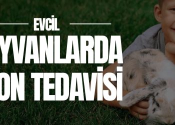 Ozon Tedavisi